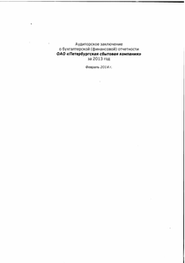 Финансовый отчет по РСБУ компании «Петербургская сбытовая компания»