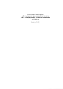 Финансовый отчет по РСБУ компании «Петербургская сбытовая компания»