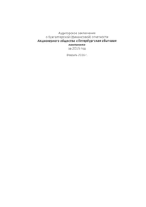 Финансовый отчет по РСБУ компании «Петербургская сбытовая компания»