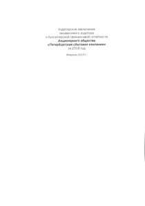 Финансовый отчет по РСБУ компании «Петербургская сбытовая компания»