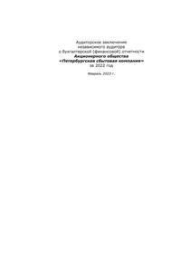 Финансовый отчет по РСБУ компании «Петербургская сбытовая компания»