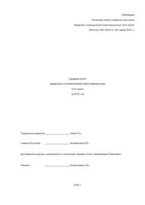 Годовой отчет компании «Сэтл, группа компаний»