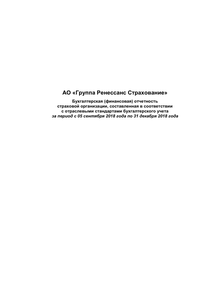 Финансовый отчет по РСБУ компании «Группа Ренессанс Страхование»