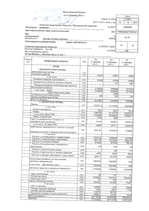 Финансовый отчет по РСБУ компании «Объединенная зерновая компания»