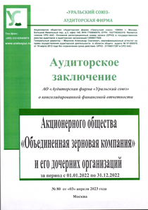 Финансовый отчет по МСФО компании «Объединенная зерновая компания»