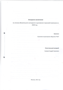 Финансовый отчет по РСБУ компании «ВСК, группа»