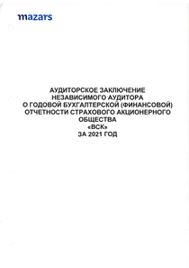 Финансовый отчет по РСБУ компании «ВСК, группа»