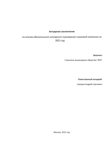 Финансовый отчет по РСБУ компании «ВСК, группа»