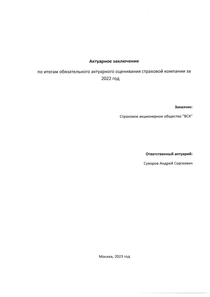 Финансовый отчет по РСБУ компании «ВСК, группа»