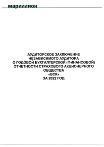 Финансовый отчет по РСБУ компании «ВСК, группа»