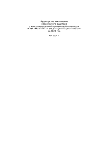 Финансовый отчет по МСФО компании «Магнит, розничная сеть»