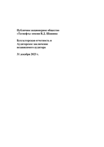 Финансовый отчет по РСБУ компании «Татнефть, группа»