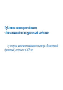 Финансовый отчет по РСБУ компании «ПАО Новолипецкий металлургический комбинат (НЛМК)»