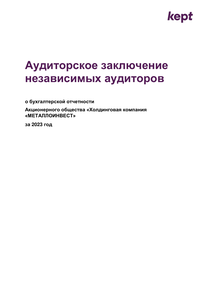 Финансовый отчет по РСБУ компании «Металлоинвест»