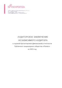 Финансовый отчет по РСБУ компании «Полюс»