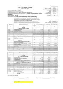 Финансовый отчет по РСБУ компании «Славнефть, группа»