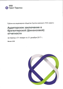 Финансовый отчет по РСБУ компании «ТНС ЭНЕРГО, группа компаний»