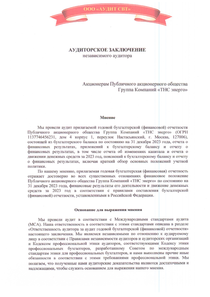 Финансовый отчет по РСБУ компании «ТНС ЭНЕРГО, группа компаний»