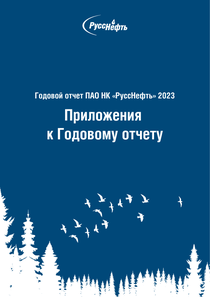 Годовой отчет компании «РуссНефть, нефтегазовая компания»
