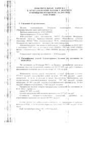 Финансовый отчет по РСБУ компании «Новошахтинский завод нефтепродуктов»