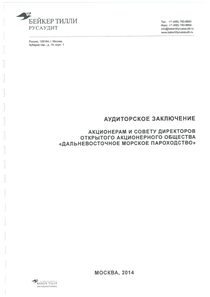 Финансовый отчет по РСБУ компании «Транспортная группа FESCO»