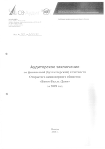 Финансовый отчет по РСБУ компании «Вимм-Билль-Данн»