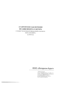 Финансовый отчет по РСБУ компании «Соллерс, группа»