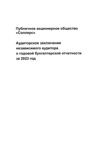 Финансовый отчет по РСБУ компании «Соллерс, группа»