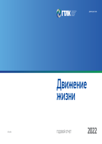 Годовой отчет компании «Государственная транспортная лизинговая компания»