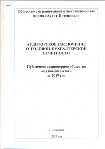 Финансовый отчет по РСБУ компании «КуйбышевАзот»