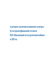 Финансовый отчет по РСБУ компании «ПАО Новолипецкий металлургический комбинат (НЛМК)»