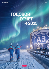 Финансовый отчет по РСБУ компании «НОВАТЭК»