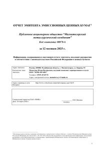 Финансовый отчет по РСБУ компании «Магнитогорский металлургический комбинат (ММК)»