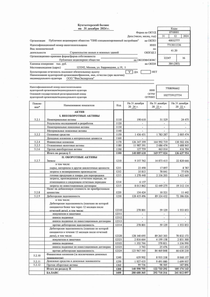Финансовый отчет по РСБУ компании «Группа Компаний ПИК»