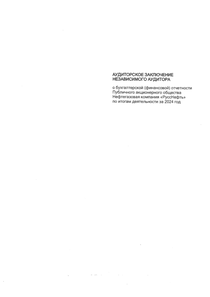 Финансовый отчет по МСФО компании «РуссНефть, нефтегазовая компания»