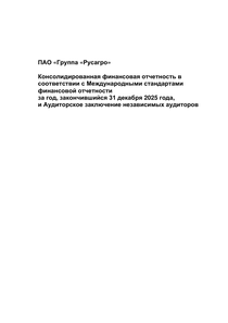 Финансовый отчет по МСФО компании «Русагро, группа компаний»