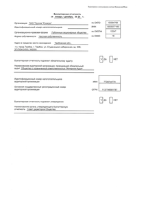 Финансовый отчет по РСБУ компании «Русагро, группа компаний»