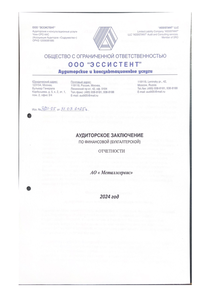 Финансовый отчет по РСБУ компании «Метро Кэш Энд Керри»