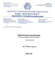 Финансовый отчет по РСБУ компании «Метро Кэш Энд Керри»