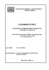 Годовой отчет компании «Магнит, розничная сеть»