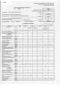 Финансовый отчет по РСБУ компании «Магнит, розничная сеть»