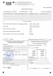 Финансовый отчет по РСБУ компании «Магнит, розничная сеть»