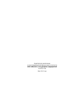 Финансовый отчет по МСФО компании «Магнит, розничная сеть»