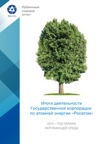 Годовой отчет компании «Росатом»