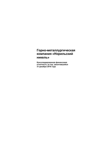 Финансовый отчет по МСФО компании «Норильский никель, горно-металлургическая компания»