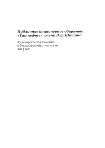 Финансовый отчет по РСБУ компании «Татнефть, группа»