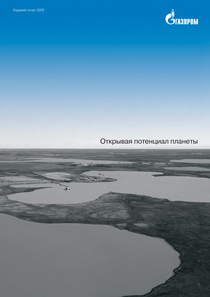 Годовой отчет компании «Газпром»