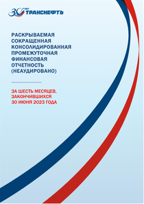 Финансовый отчет по МСФО компании «Транснефть (ПАО)»